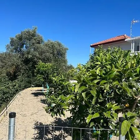 Alex House Appartement Parga Buitenkant foto