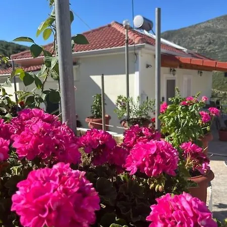 Alex House Appartement Parga Buitenkant foto
