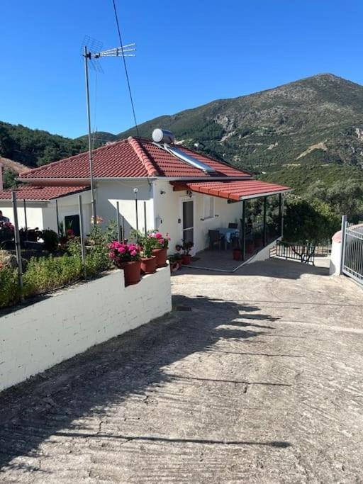 Alex House Appartement
