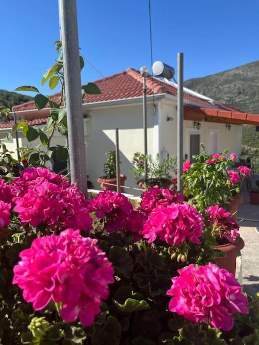 Appartement Alex House Parga